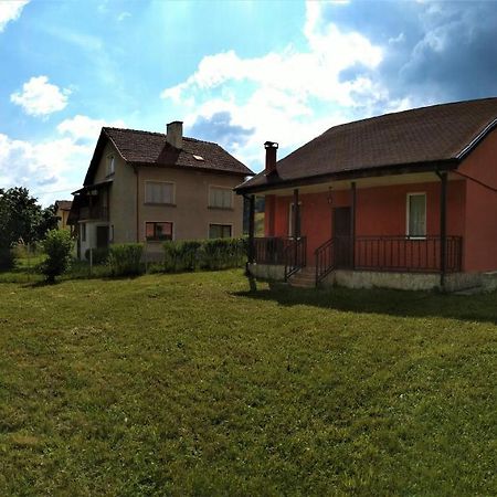 Villa Irina - Govedartsi Extérieur photo